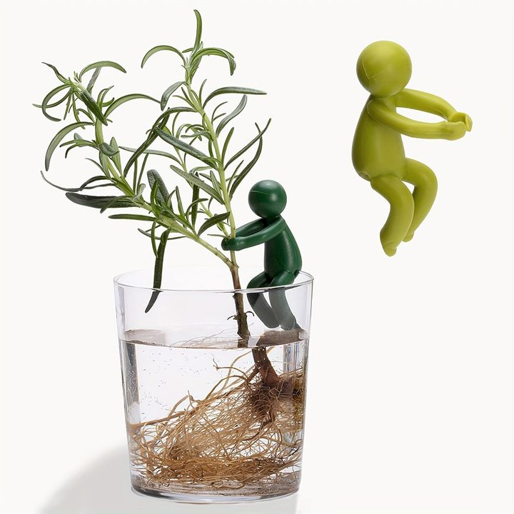 Plant cultivation fixed stand